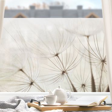 Fensterfolie - Sichtschutz - Sanfte Gräser - Fensterbilder