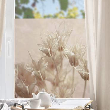 Fensterfolie - Sichtschutz - Sepia Trockenblumen - Fensterbilder