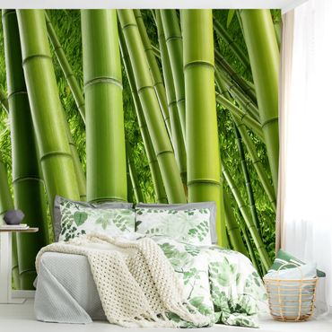 Fototapete Bamboo Trees