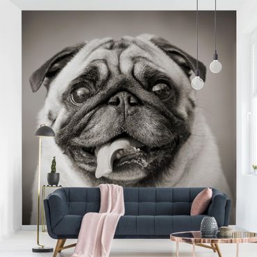3548V VLIES Fototapete-SPÜRHUND- -Tiere Hunde 3D Design Hund Wandbild Wanddeko