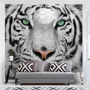 Fototapete Vlies Tapete Tiere Motiv Jaguar XXL Wandtapete Design Tiger 3D Leim