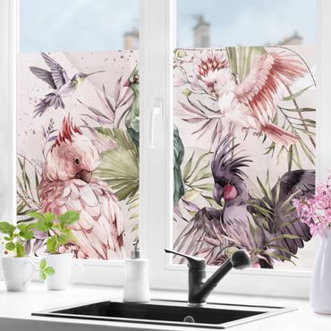Fensterfolie - Sichtschutz - Tropische Vögel - Bunte Kakadus und Kolibri - Fensterbilder
