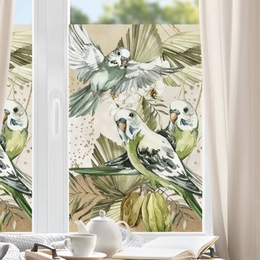 Fensterfolie - Sichtschutz - Tropische Vögel - Grüne Wellensittiche - Fensterbilder