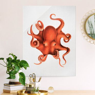 Glasbild - Vintage Illustration Roter Oktopus - Hochformat