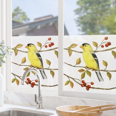 Fensterfolie - Sichtschutz - Vögel und Beeren - Goldzeisig - Fensterbilder