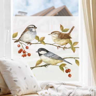 Fensterfolie - Sichtschutz - Vögel und Beeren - Meisen - Fensterbilder