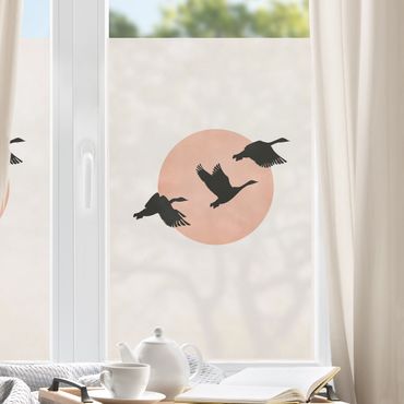 Fensterfolie - Sichtschutz - Vögel vor rosa Sonne III - Fensterbilder