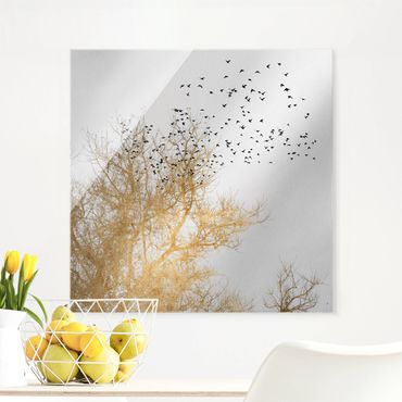 Glasbild - Vogelschwarm vor goldenem Baum - Quadrat 1:1