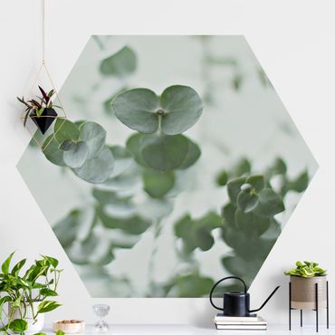 Hexagon Mustertapete selbstklebend - Wachsende Eukalyptuszweige