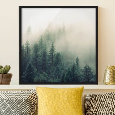 Bild mit Rahmen - Wald im Nebel Erwachen - Quadrat