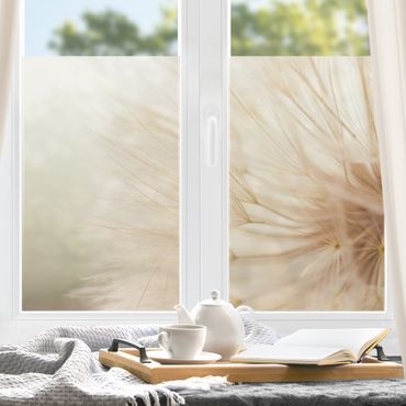 Fensterfolie - Sichtschutz - Weiche Pusteblume - Fensterbilder