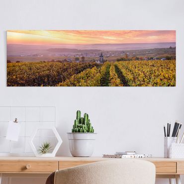 Leinwandbild - Weinplantage bei Sonnenuntergang - Panorama 3:1