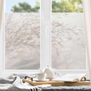 Fensterfolie - Sichtschutz - Wiesengras Close Up - Fensterbilder