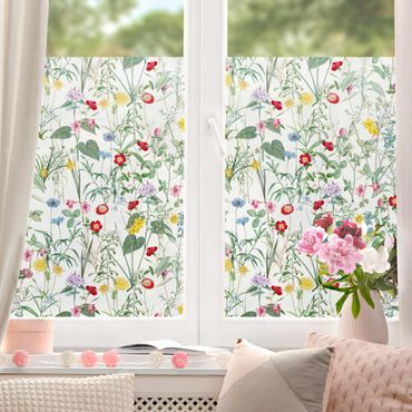 Fensterfolie - Sichtschutz - Wildblumen auf Weiß - Fensterbilder