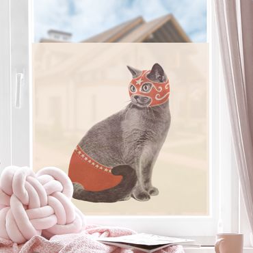 Fensterfolie - Sichtschutz - Wrestling Cat - Fensterbilder