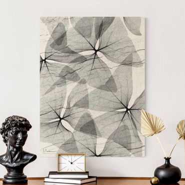 Leinwandbild Natur - X-Ray - Dreiecksklee mit Textil - Hochformat 3:4