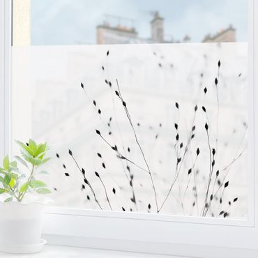 Fensterfolie - Sichtschutz - Zarte Gräser im Schatten - Fensterbilder