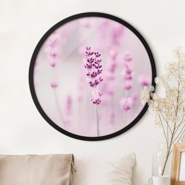 Rundes Gerahmtes Bild - Zartvioletter Lavendel