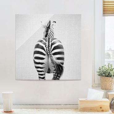 Glasbild - Zebra von hinten Schwarz Weiß - Quadrat