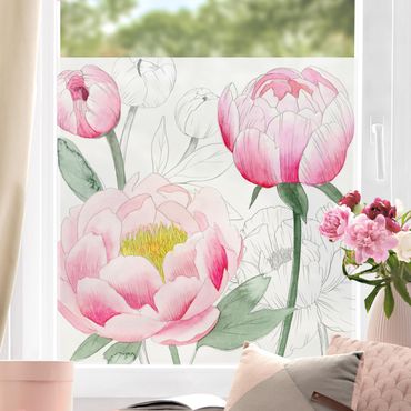 Fensterfolie - Sichtschutz - Zeichnung Rosa Päonien II - Fensterbilder