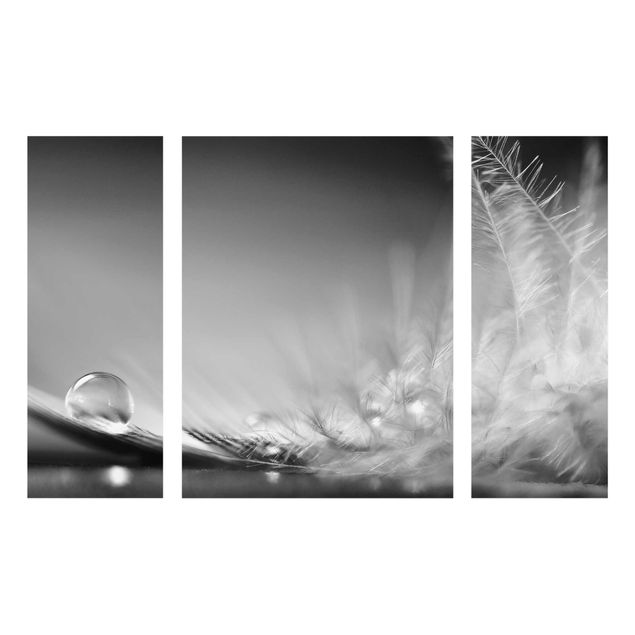 Glasbilder Story of a Waterdrop Black White