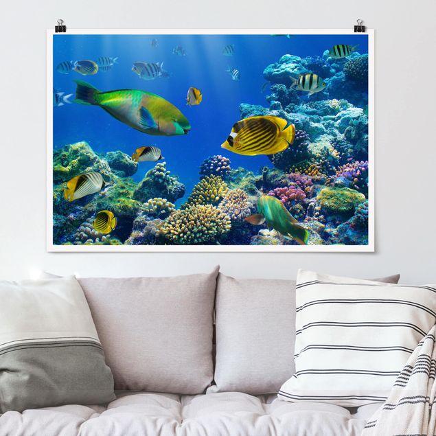 Wandbilder Tiere Underwater Lights