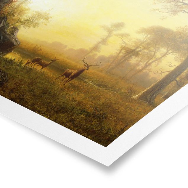 Poster Landschaft Albert Bierstadt - Sonnenbeschienene Lichtung