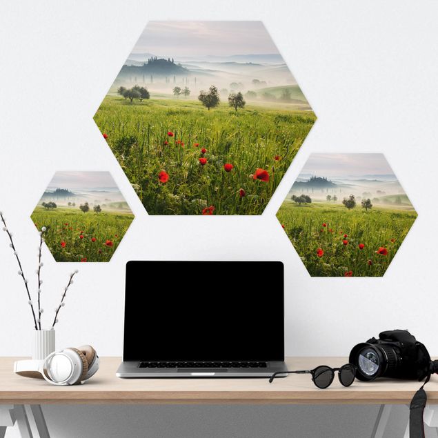 Hexagon Bild Forex - Toskana Frühling