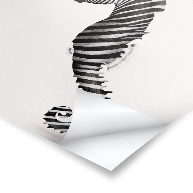Poster - Jonas Loose - Seepferdchen mit Zebrastreifen - Quadrat 1:1