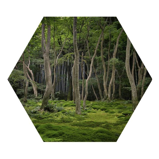 Hexagon Bild Holz - Japanischer Wald