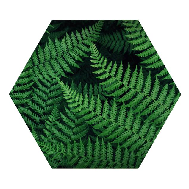 Hexagon Bild Holz - Farn