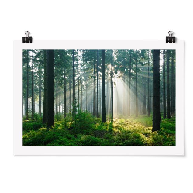 Poster - Enlightened Forest - Querformat 2:3