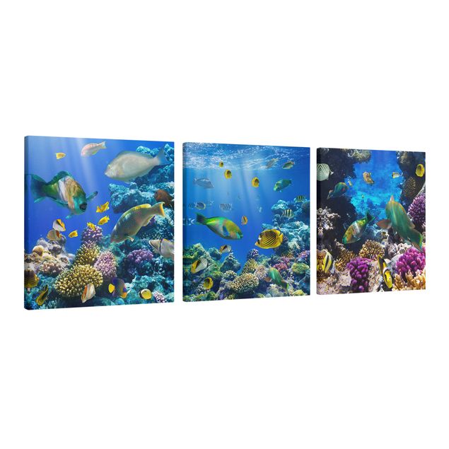 Wandbilder Tiere Underwater Trio