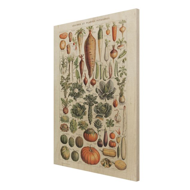 Moderne Holzbilder Vintage Lehrtafel Gemüse