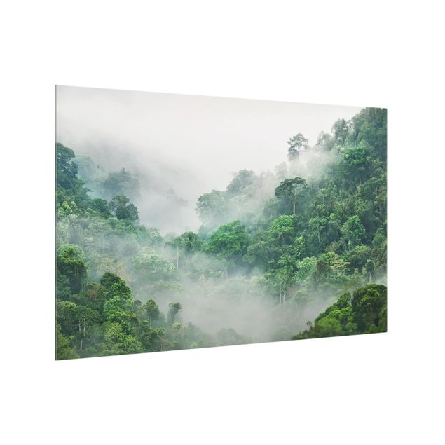 Küchenrückwand Glas Wald Dschungel im Nebel