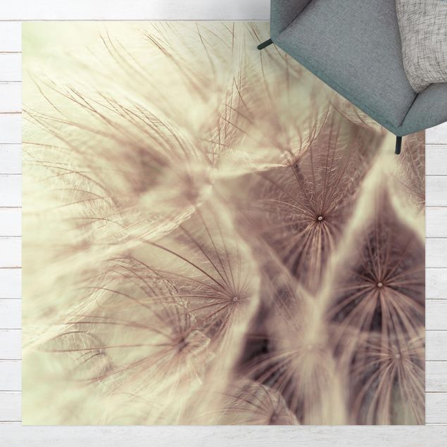 Aussen Teppich Detailreiche Pusteblumen Makroaufnahme mit Vintage Blur Effekt