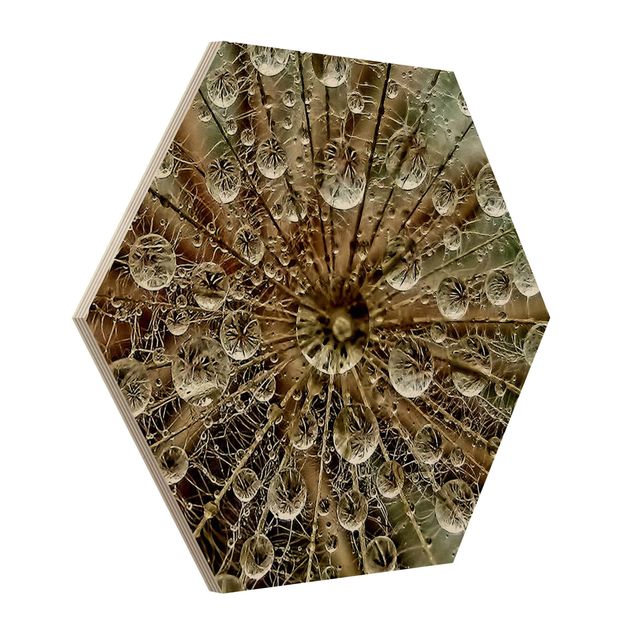 Hexagon Bild Holz - Pusteblume im Herbst