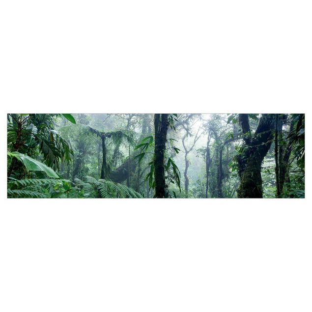 Spritzschutz Monteverde Nebelwald