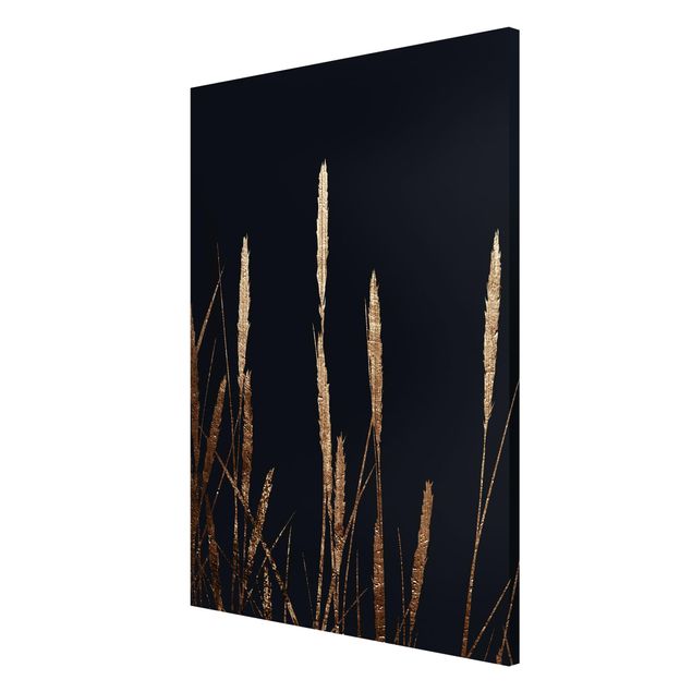Magnettafel schwarz Grafische Pflanzenwelt - Goldenes Schilf