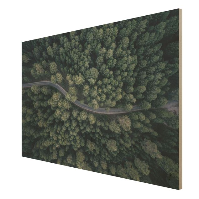 Holzbilder Luftbild - Waldstraße von Oben