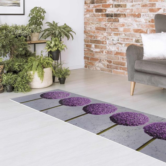 Teppiche Allium Kugel-Blüten