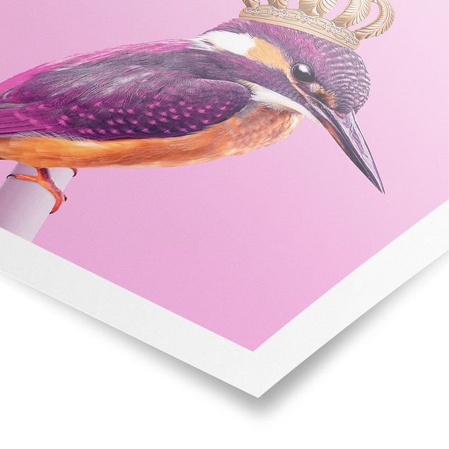 Schöne Wandbilder Rosa Eisvogel mit Krone