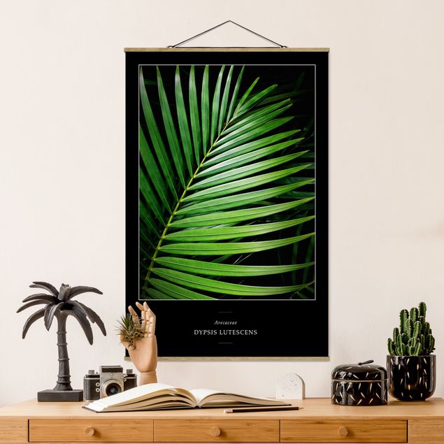 Bilder für die Wand Tropisches Palmblatt