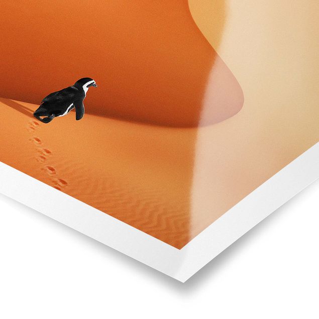 Wandbilder Wüste mit Pinguin