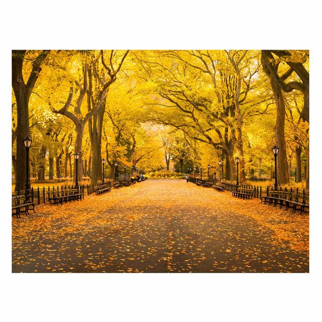 Magnettafel Skyline Herbst im Central Park