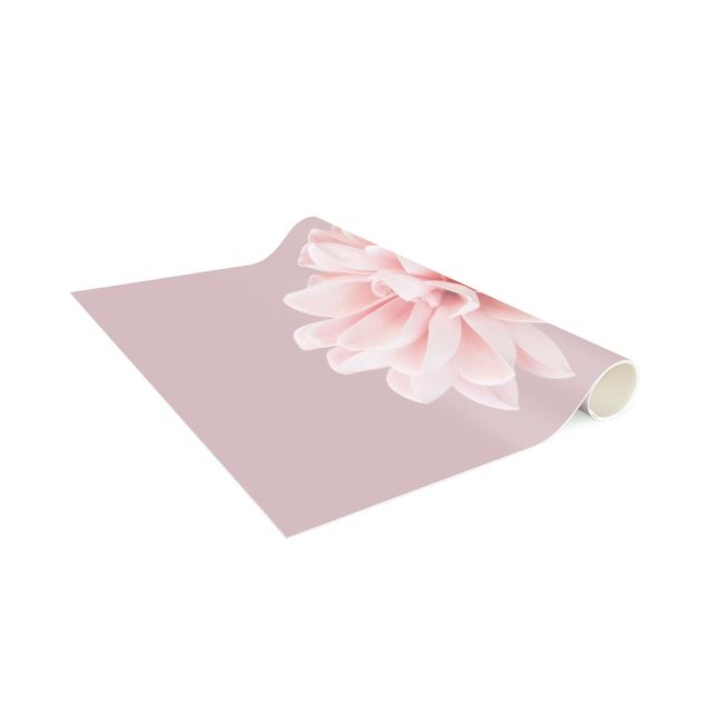 Teppich modern Dahlie Blume Lavendel Rosa Weiß