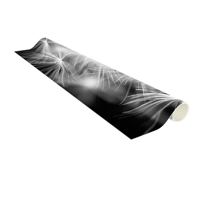 Teppich modern Bewegte Pusteblumen Nahaufnahme auf schwarzem Hintergrund
