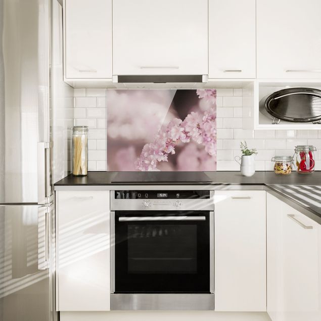 Küchenrückwand Glas Motiv Blumen Kirschblüte im Violetten Licht