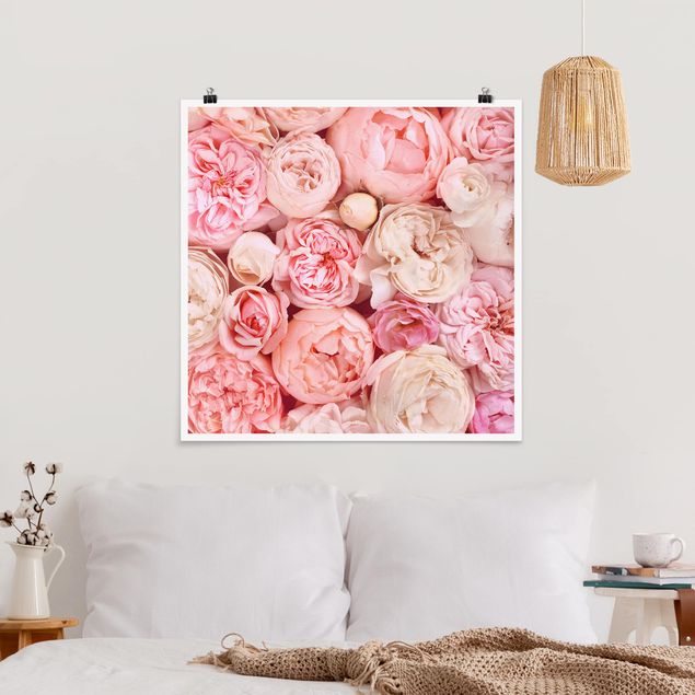 Blumen Poster Rosen Rosé Koralle Shabby