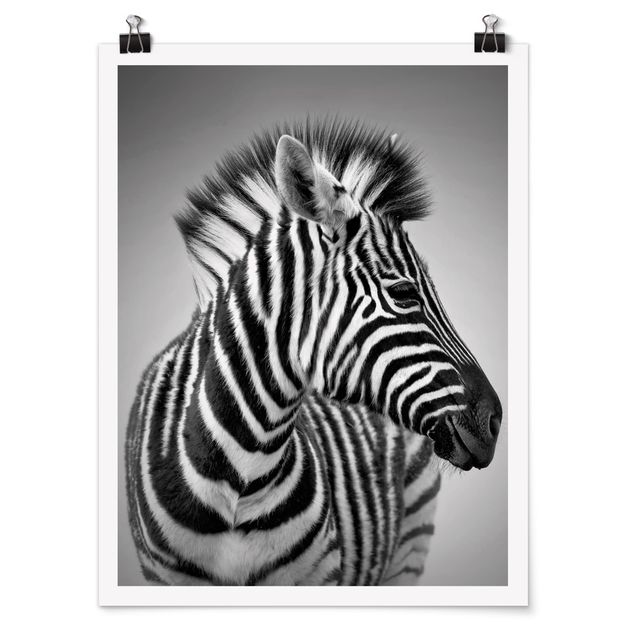 Bilder für die Wand Zebra Baby Portrait II